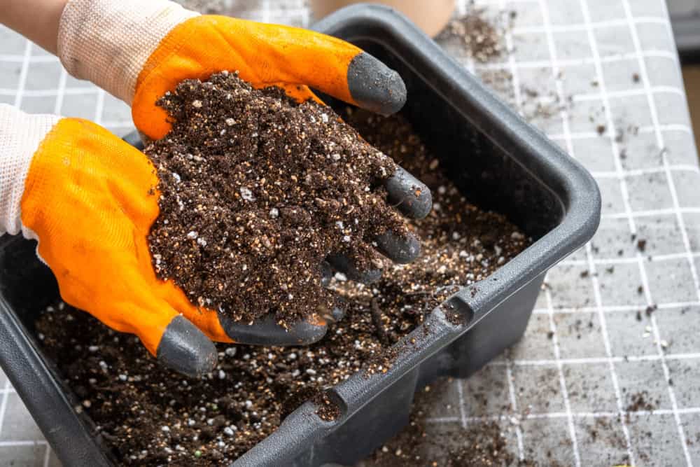Soil Mixed with Perlite and Vermiculite